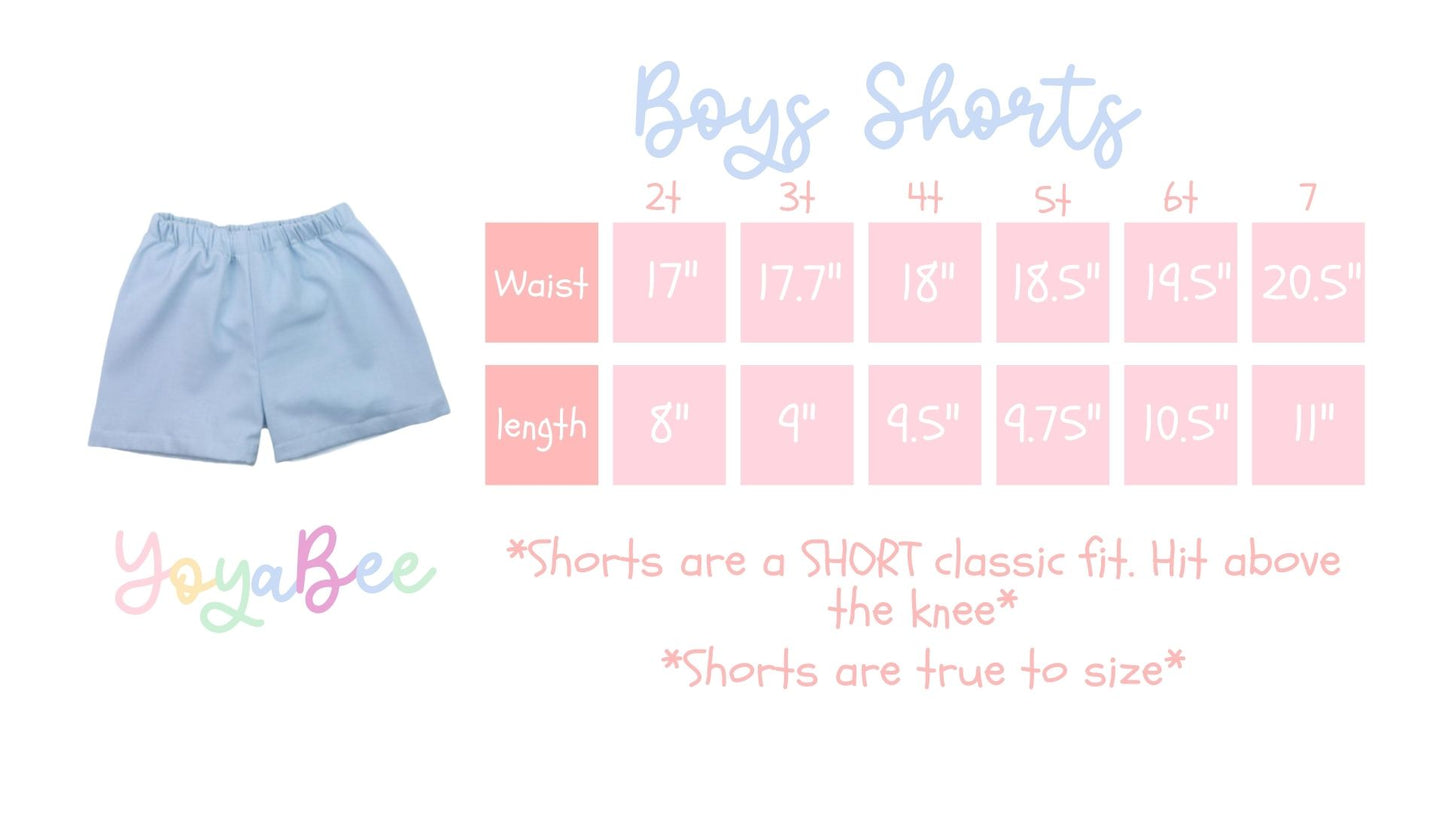 Boys blue gingham short set